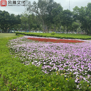 抖音网红露点走光在线观看
